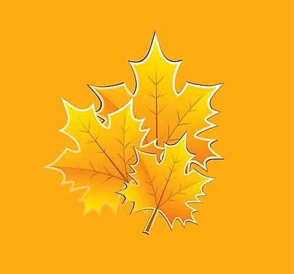 EPS 해외이미지 식물 디자인 계절 백그라운드 단풍 잎 꽃무늬 패턴 오렌지 일러스트 자연 미술 장식 빨간색 컬러풀 보라색 가을 파마 떨어짐 숲 그림 정사각형 내추럴 생태학 지속성 해외202004 해외일러스트 도형 헤어스타일 교육 꽃 컬러 컨셉 무늬 과일 문화예술 생태계 파일형식 벡터 이미지허브