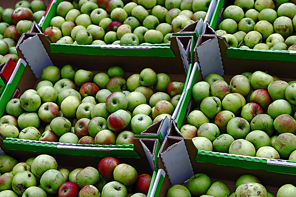 포토 JPG 해외이미지 디자인 잡화 음식 백그라운드 컨셉 채소 가방 과일 실내 건강 종류 사람없음 내부 초록색 빛 쇼핑 세일 바구니 상점 신선 시장 구매 상품 쇼핑몰 고객 사인 무역 유기농 통로 상업 냉장고 모음 소매 슈퍼마켓 줄서기 해외202004 해외포토 웰빙 산업 컬러 모션 가전제품 파일형식 이미지허브