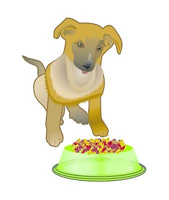 EPS 해외이미지 음식 일러스트 건조 건강 앉기 초록색 사발 개 강아지 직진 해외202004 해외일러스트 컬러 포유류 모션 반려동물 사기그릇 파일형식 벡터 이미지허브