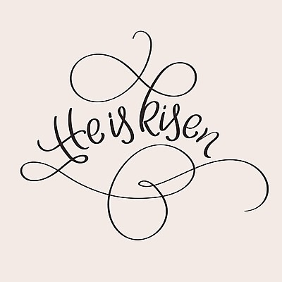 EPS 해외이미지 디자인 백그라운드 일러스트 캘리그라피 텍스트 프레임 타이포그라피 사람없음 장식 단어 축하 메시지 우아함 타입 필기체 레터링 카피스페이스 해외202004 해외일러스트 문자 컨셉 공백 파일형식 벡터 이미지허브