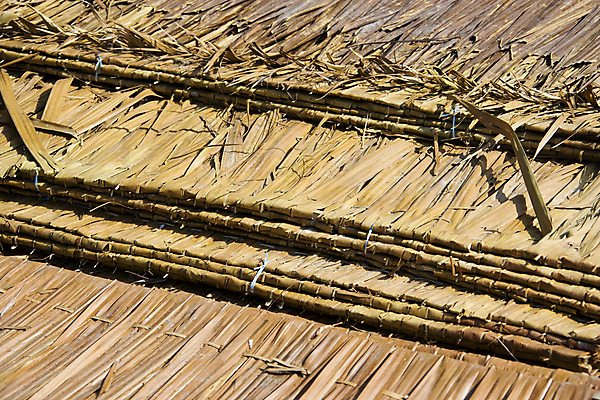 포토 JPG 해외이미지 전통 아시아 잎 지붕 주택 손바닥 사람없음 건물 마을 옥상 말레이시아 해외202004 해외포토 식물 건축물 손 나라 파일형식 이미지허브