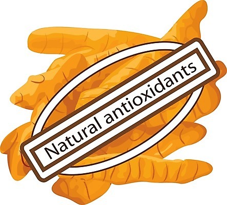 EPS 해외이미지 백그라운드 일러스트 재료 건조 건강 요리 동양인 약 흰색 양념 조미료 가루 인도인 허브 향신료 흰배경 매움 뿌리 향 카레 이익 내추럴 고립 치료제 강황 디톡스 해외202004 해외일러스트 외국인 식물 음식 컬러 식재료 의학 인종 맛 향미료 파일형식 벡터 이미지허브