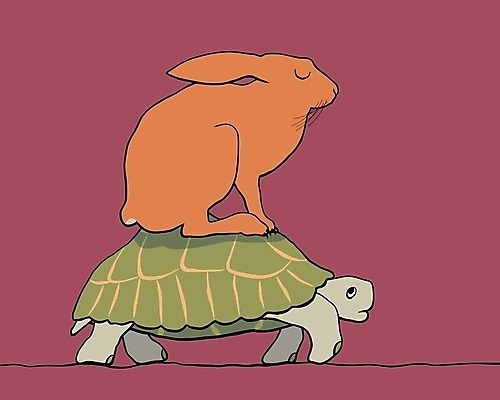 EPS 해외이미지 동물 컨셉 일러스트 장난 휴식 걷기 화물 잠 거북이 승차 만화 적재 속담 해외202004 해외일러스트 문자 파충류 모션 운송업 파일형식 벡터 이미지허브