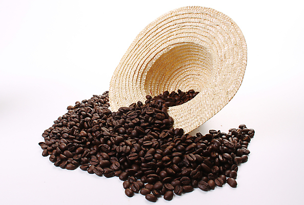 포토 JPG 해외이미지 커피 음료 콩 사람없음 컵 농작물 갈색 검은색 흰색 아침식사 굽기 카푸치노 중독 카페인 해외202004 해외포토 식기 컬러 농업 곡류 식사 구이 파일형식 이미지허브