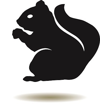 EPS 해외이미지 클립아트 모양 동물 디자인 행복 야생동물 어린이 백그라운드 신체 일러스트 포유류 자연 털 동물원 앉기 우주 흰색 잡기 플랫 설치류 숲 작음 만화 스케치 먹기 그림 꼬리 다람쥐 심플 윤곽 내추럴 고립 동물상 삼림지대 해외202004 해외일러스트 감정 컬러 모션 미술 사람 조형물 크기 생태계 파일형식 벡터 이미지허브