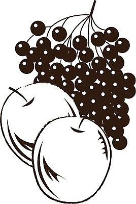 EPS 해외이미지 과일 일러스트 포도 미술 그래픽 갈색 그리기 사과 먹기 해외202004 해외일러스트 컬러 모션 문화예술 파일형식 벡터 이미지허브