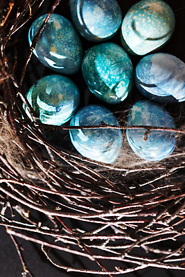 포토 JPG 해외이미지 전통 디자인 계절 음식 백그라운드 컨셉 조류 휴가 부활절 사람없음 장식 파란색 계란 페인트 봄 나뭇가지 축하 그룹 둥지 심볼 부식 질감 정물화 특별함 파스텔톤 해외202004 해외포토 나무 동물 기념일 컬러 알 그림 파일형식 이미지허브