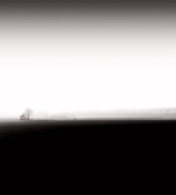 포토 JPG 해외이미지 나무 십자가 자연 날씨 거리 흑백 사람없음 촉촉함 안개 작음 신비 유모차 해외202004 해외포토 식물 컨셉 촬영기법 아기용품 젖음 크기 생태계 파일형식 이미지허브