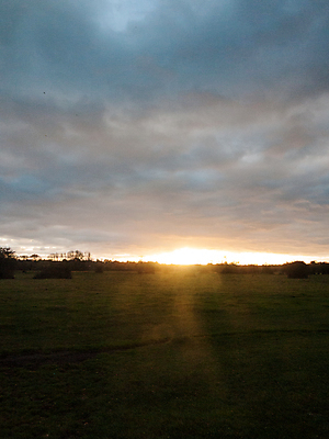 포토 JPG 해외이미지 나무 식물 구름 계절 지구 호수 여행 백그라운드 밭 농업 자연 하늘 날씨 풍경 잔디 사람없음 야외 초록색 물 여름 파란색 빛 햇빛 태양 일출 환경 맑음 일몰 봄 새벽 광선 가을 시골 분위기 저녁 언덕 장면 내추럴 수평선 해외202004 해외포토 자연요소 산업 컬러 컨셉 노을 야간 생태계 파일형식 이미지허브