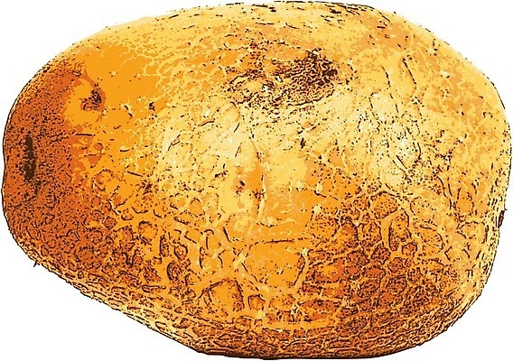 EPS 해외이미지 1 라이프스타일 음식 백그라운드 농업 채소 일러스트 재료 새로움 감자 건강 갈색 샐러드 수확 흰색 그룹 작음 자르기 굽기 배열 먹기 오브젝트 준비 싱글 날것 뿌리 흙더미 고립 녹말 자취 채식주의자 탄수화물 비건 해외202004 해외일러스트 산업 컬러 컨셉 모션 생활 흙 크기 구이 채식 파일형식 벡터 더미 이미지허브