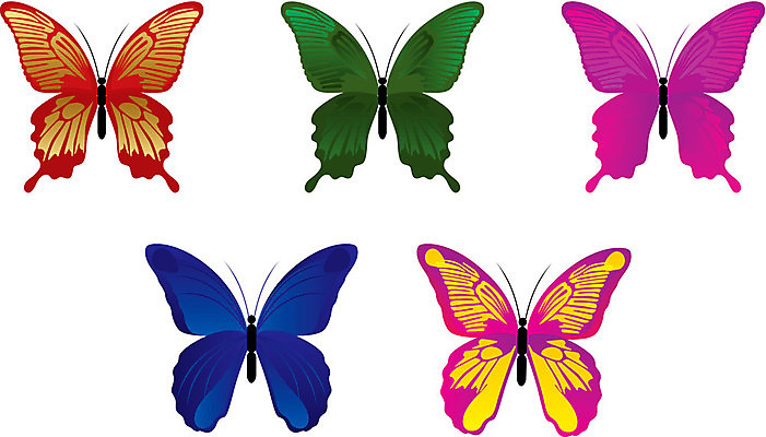 EPS 해외이미지 나비 곤충 일러스트 자연 사람없음 해외202004 해외일러스트 동물 생태계 파일형식 벡터 이미지허브