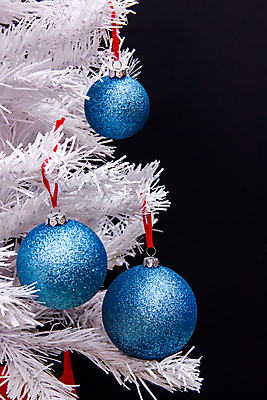 포토 JPG 해외이미지 나무 식물 전통 디자인 계절 행복 리본 백그라운드 크리스마스 겨울 공 유리 휴가 기념 선물 사람없음 장식 빨간색 초록색 반짝임 파티 축제 흰색 나뭇가지 축하 인사 소나무 화려 황금 은색 12월 연도 심볼 서리 내추럴 고립 여의주 해외202004 해외포토 기념일 감정 컬러 컨셉 모션 재질 이벤트 예절 날짜 파일형식 이미지허브