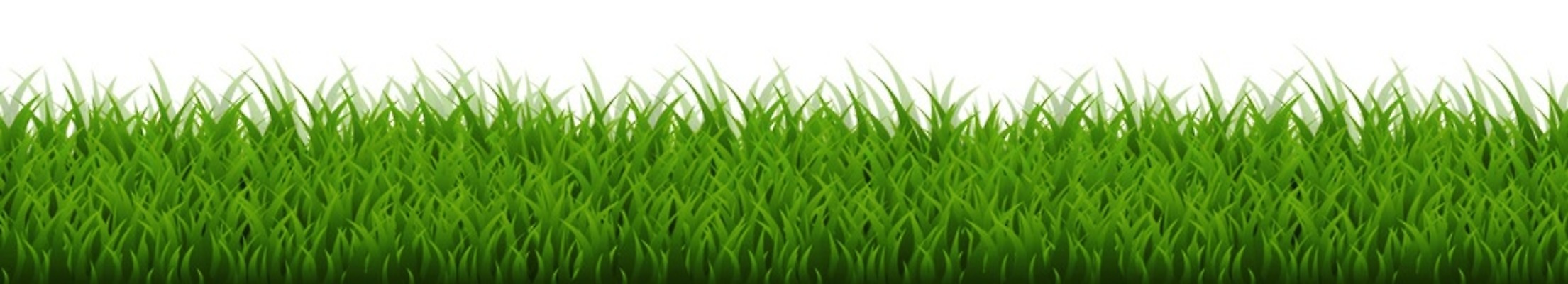 EPS 해외이미지 식물 공원 백그라운드 잎 패턴 밭 일러스트 자연 벽지 놀이 추상 프레임 잔디 야외 가로 초록색 여름 세트 환경 축구 봄 활발 흰색 신선 보호 큼 땅 허브 원예 질감 심플 각도 내추럴 고립 해외202004 해외일러스트 계절 공공시설 컬러 컨셉 무늬 농업 취미 구기 크기 생태계 파일형식 벡터 이미지허브