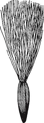 EPS 해외이미지 식물 꽃 선 잎 일러스트 미술 검은색 수확 흰색 뿌리기 그림 판화 엉겅퀴 해외202004 해외일러스트 컬러 농업 모션 문화예술 파일형식 벡터 이미지허브