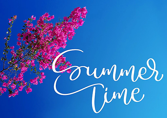 포토 JPG 해외이미지 꽃 백그라운드 캘리그라피 사람없음 파란배경 해외202004 해외포토 식물 파란색 파일형식 이미지허브