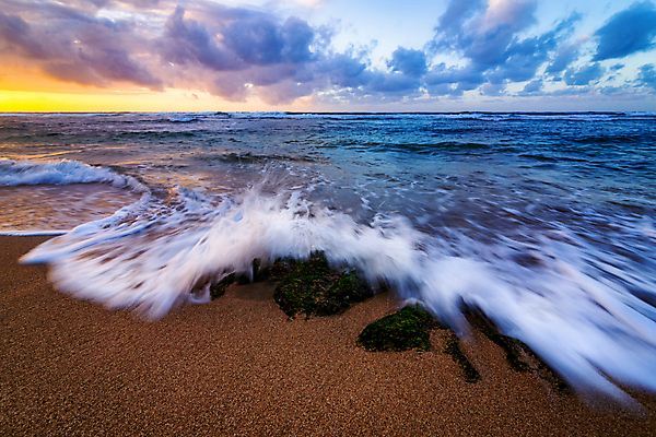 포토 JPG 해외이미지 나무 구름 모래 파도 바다 섬 여행 백그라운드 모션 자연 하늘 휴가 휴식 따뜻함 풍경 사람없음 빨간색 물 여름 컬러풀 햇빛 태양 노란색 여행객 어둠 황혼 일몰 만 야간 저녁 휴양지 하와이 태평양 암초 용암 서쪽 오아시스 하와이인 해외202004 해외포토 자연요소 외국인 식물 계절 컬러 컨셉 사람 노을 미국 장소 방향 생태계 파일형식 이미지허브