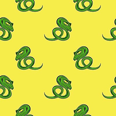 EPS 해외이미지 동물 응시 야생동물 백그라운드 패턴 곡선 일러스트 파충류 자연 생물 동물원 종류 초록색 반려동물 컬러풀 우주 뱀 위험 공격 피부 눈금 생물학 육식동물 멸종 기어가기 나쁜 고립 공격적 이국적 해외202004 해외일러스트 시선 교육 선 컬러 컨셉 무늬 모션 신체부위 생태계 파일형식 벡터 이미지허브