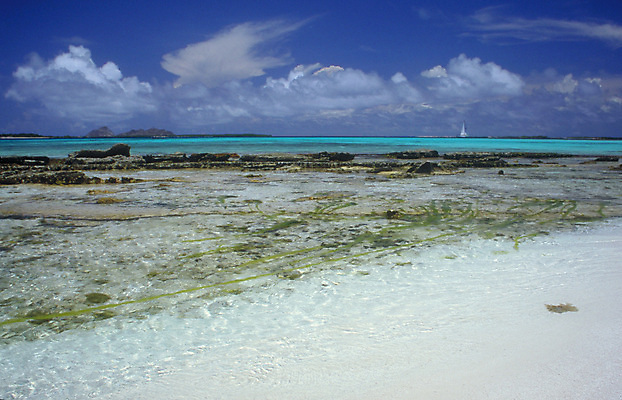 포토 JPG 해외이미지 구름 선 모래 파도 바다 섬 백그라운드 하늘 휴가 풍경 사람없음 가로 초록색 물 여름 파란색 태양 평화 꿈 무료 베네수엘라 파라다이스 수평선 해외202004 해외포토 자연요소 계절 컬러 컨셉 남아메리카 파일형식 이미지허브