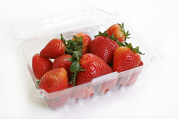 포토 JPG 해외이미지 열매 음식 잎 2 다이어트 과일 자연 딸기 디저트 건강 씨앗 사람없음 빨간색 초록색 여름 컬러풀 바구니 정원 활발 쓰레기통 흰색 신선 달콤 맛 컨테이너 먹기 가득함 묘사 유기농 열정 내추럴 고립 숙성 식용 이국적 해외202004 해외포토 식물 웰빙 계절 감정 산업 컬러 컨셉 모션 생태계 파일형식 이미지허브