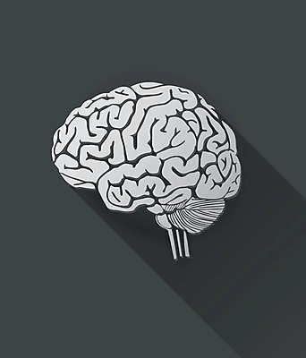 EPS 해외이미지 과학 백그라운드 일러스트 해부 사람 그래픽 약 머리 검은색 흰색 마음 감각 오르간 불안 문신 심볼 뇌 시스템 고립 해외202004 해외일러스트 감정 컬러 의학 신체부위 건반악기 파일형식 벡터 이미지허브