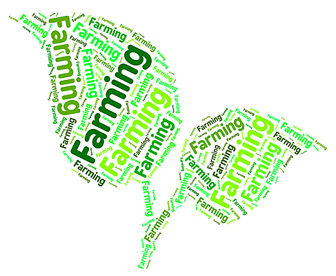 포토 JPG 해외이미지 농업 텍스트 사람없음 단어 농장 농경지 밭일 해외202004 해외포토 문자 산업 파일형식 이미지허브