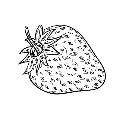 EPS 해외이미지 손 열매 음식 백그라운드 잎 과일 일러스트 딸기 디저트 건강 미술 씨앗 빨간색 초록색 여름 빛 연필 펜 검은색 활발 흰색 신선 그리기 달콤 맛 낙서 만화 스케치 자르기 상쾌 그림 분필 유기농 날것 손그림 내추럴 고립 무료 숙성 해외202004 해외일러스트 식물 웰빙 계절 감정 컬러 컨셉 모션 문화예술 학용품 신체부위 필기구 초크 파일형식 벡터 이미지허브