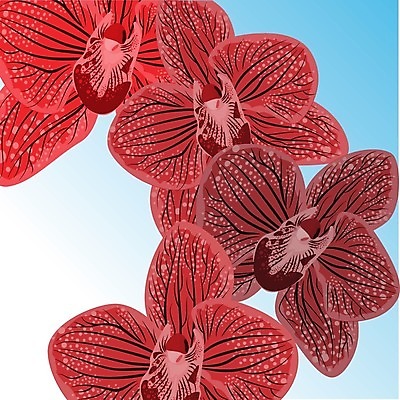 EPS 해외이미지 템플릿 디자인 꽃 줄기 백그라운드 잎 꽃무늬 패턴 일러스트 자연 벽지 표면 추상 장식 빛 컬러풀 우주 보라색 검은색 어둠 공백 회색 수확 인사 난초 인쇄 제비꽃 질감 복고 초대 내추럴 그런지 콘크리트 현실 해외202004 해외일러스트 식물 컬러 무늬 농업 예절 생태계 파일형식 벡터 이미지허브