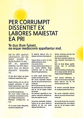 템플릿 내지 컬러 사람없음 노란색 프레젠테이션 문서템플릿 서식 레이아웃 문서 제안서 이미지템플릿 AI파일 파일형식 벡터