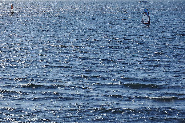 포토 JPG 주간 물결 바다 자연 레저 사람 풍경 야외 윈드서핑 수상스포츠 서핑 서퍼 선박 국내포토 자연요소 스포츠 수상교통 운동선수 생태계 파일형식