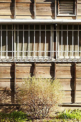 포토 JPG 주간 나무 식물 해외풍경 건축물 건축 아시아 일본문화 창문 풍경 사람없음 야외 일본 일본전통 목조 일본건축 방범창 쇠창살 국내포토 자연요소 동양문화 전통 해외 나라 외국문화 동양건축 파일형식