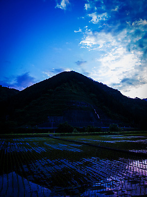 포토 JPG 주간 구름 자연 하늘 산 논 풍경 사람없음 야외 농경지 농촌 국내포토 자연요소 농업 농장 시골 생태계 파일형식