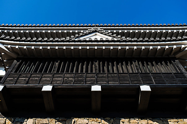 포토 JPG 주간 전통 해외풍경 건축물 아시아 로우앵글 고건축 일본문화 하늘 기와 풍경 사람없음 야외 일본 동양건축 성 일본전통 처마 일본건축 기요스성 국내포토 자연요소 동양문화 해외 건축 나라 뷰포인트 외국문화 파일형식 동양