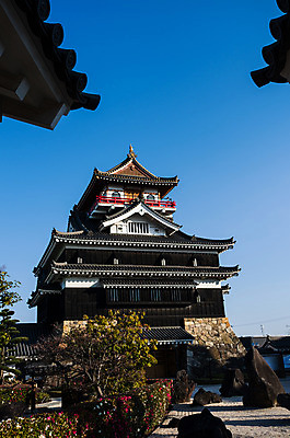 포토 JPG 주간 나무 식물 전통 해외풍경 건축물 아시아 고건축 일본문화 하늘 풍경 사람없음 야외 일본 동양건축 성 일본전통 일본건축 기요스성 국내포토 자연요소 동양문화 해외 건축 나라 외국문화 파일형식 동양