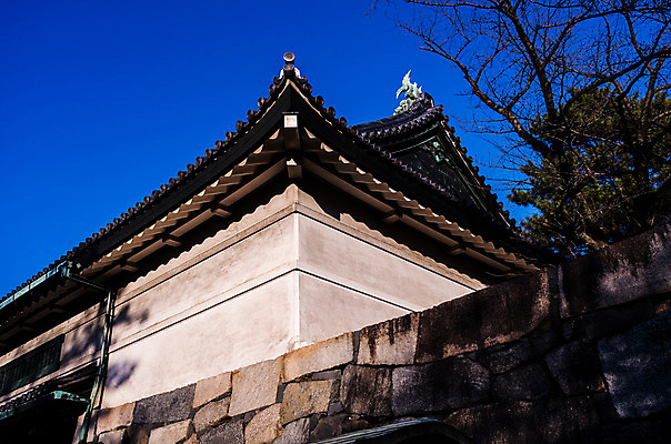 포토 JPG 주간 나무 식물 전통 해외풍경 건축물 아시아 고건축 일본문화 하늘 풍경 사람없음 야외 담장 일본 동양건축 성 일본전통 일본건축 나고야성 나고야 국내포토 자연요소 동양문화 해외 건축 나라 외국문화 파일형식 동양