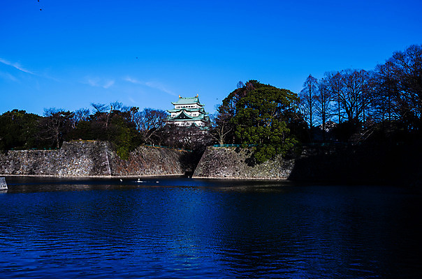 포토 JPG 주간 나무 식물 전통 해외풍경 건축물 아시아 호수 고건축 일본문화 하늘 풍경 사람없음 야외 담장 일본 동양건축 성 일본전통 일본건축 나고야성 나고야 국내포토 자연요소 동양문화 해외 건축 나라 외국문화 파일형식 동양