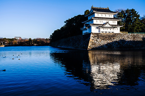 포토 JPG 주간 나무 식물 동물 전통 해외풍경 건축물 아시아 호수 고건축 일본문화 조류 하늘 물그림자 풍경 사람없음 야외 담장 일본 동양건축 성 일본전통 일본건축 나고야성 나고야 국내포토 자연요소 동양문화 해외 건축 나라 외국문화 그림자 파일형식 동양