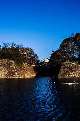 포토 JPG 주간 나무 식물 전통 해외풍경 건축물 아시아 호수 고건축 일본문화 하늘 풍경 사람없음 야외 담장 일본 동양건축 성 일본전통 일본건축 나고야성 나고야 국내포토 자연요소 동양문화 해외 건축 나라 외국문화 파일형식 동양