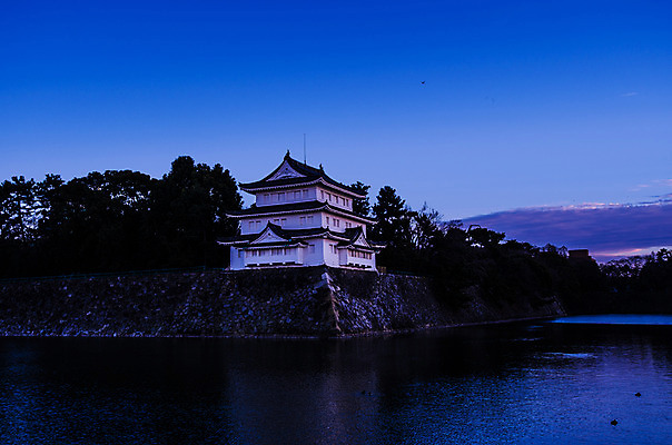 포토 JPG 주간 나무 식물 구름 전통 해외풍경 건축물 아시아 호수 고건축 일본문화 하늘 풍경 사람없음 야외 담장 일본 동양건축 성 일본전통 일본건축 나고야성 나고야 국내포토 자연요소 동양문화 해외 건축 나라 외국문화 파일형식 동양