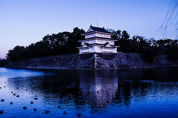 포토 JPG 주간 나무 식물 동물 전통 해외풍경 건축물 아시아 호수 고건축 일본문화 여러마리 조류 하늘 물그림자 풍경 사람없음 야외 담장 일본 동양건축 성 일본전통 일본건축 나고야성 나고야 국내포토 자연요소 동양문화 해외 건축 나라 외국문화 다수 그림자 파일형식 동양