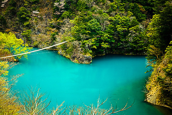 포토 JPG 주간 나무 식물 해외풍경 아시아 호수 컬러 자연 풍경 사람없음 야외 초록색 일본 연못 숲 청록색 가교 시즈오카 국내포토 자연요소 해외 건축물 나라 생태계 파일형식