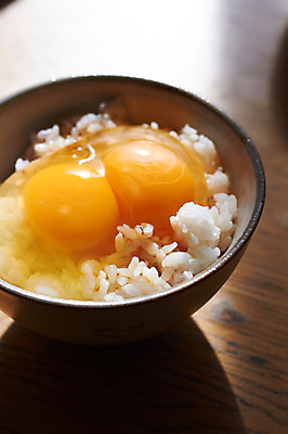 포토 JPG 음식 밥 근접촬영 사람없음 아웃포커스 계란 밥그릇 일본음식 계란밥 국내포토 그릇 뷰포인트 촬영기법 알 파일형식