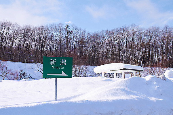 포토 JPG 주간 나무 식물 구름 해외풍경 계절 화살표 아시아 겨울 자연 하늘 풍경 사람없음 야외 일본 한자 눈 표지판 일본어 겨울풍경 국내포토 자연요소 문자 해외 나라 날씨 알림판 생태계 파일형식