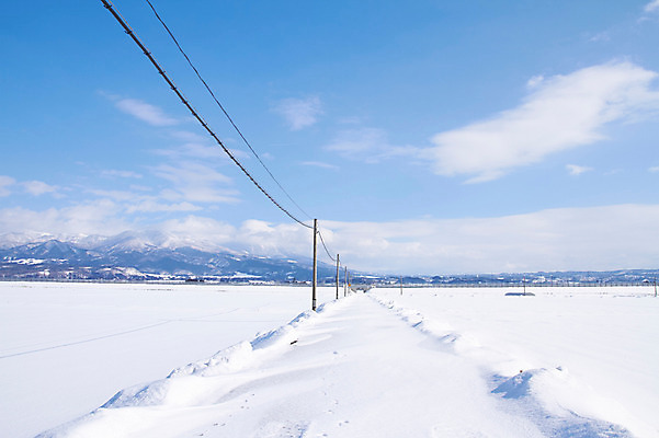 포토 JPG 주간 구름 계절 겨울 자연 하늘 산 풍경 사람없음 야외 설원 원근감 전선 눈 전봇대 겨울풍경 국내포토 자연요소 공공시설 뷰포인트 날씨 눈_날씨 생태계 파일형식