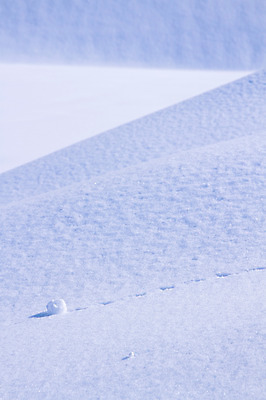 포토 JPG 주간 계절 컬러 백그라운드 겨울 자연 풍경 사람없음 야외 설원 흰색 눈 겨울풍경 국내포토 자연요소 날씨 눈_날씨 생태계 파일형식