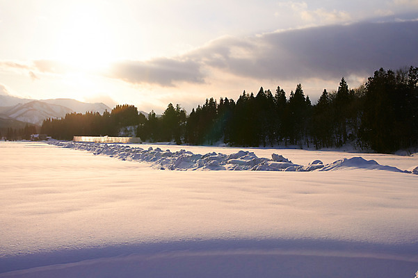 포토 JPG 주간 나무 식물 구름 계절 겨울 자연현상 자연 하늘 산 풍경 사람없음 야외 햇빛 태양 설원 일몰 눈 겨울풍경 국내포토 자연요소 날씨 눈_날씨 노을 생태계 파일형식