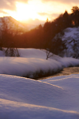 포토 JPG 주간 나무 식물 계절 겨울 자연현상 자연 풍경 사람없음 야외 아웃포커스 노을 일몰 눈 겨울풍경 국내포토 자연요소 날씨 촬영기법 생태계 파일형식