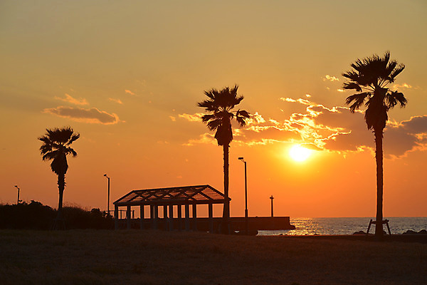 포토 JPG 나무 식물 구름 실루엣 바다 가로등 자연현상 자연 하늘 등대 풍경 사람없음 야외 야자수 태양 일출 노을 일몰 국내포토 자연요소 공공시설 촬영기법 생태계 파일형식
