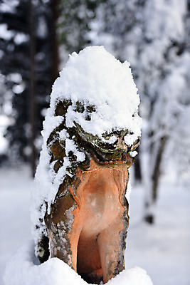 포토 JPG 주간 동물 해외풍경 계절 아시아 전통문화 겨울 일본문화 풍경 사람없음 야외 조형물 조각상 일본 눈 일본전통 동물모양 수호신 겨울풍경 국내포토 자연요소 모양 동양문화 전통 해외 나라 문화 외국문화 날씨 미술 신_종교 파일형식