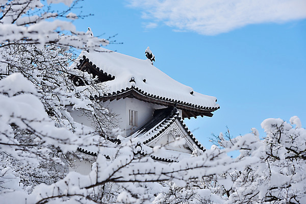포토 JPG 주간 나무 식물 구름 전통 해외풍경 건축물 계절 아시아 고건축 겨울 일본문화 하늘 풍경 사람없음 야외 일본 동양건축 눈 성 일본전통 일본건축 겨울풍경 국내포토 자연요소 동양문화 해외 건축 나라 외국문화 날씨 파일형식 동양