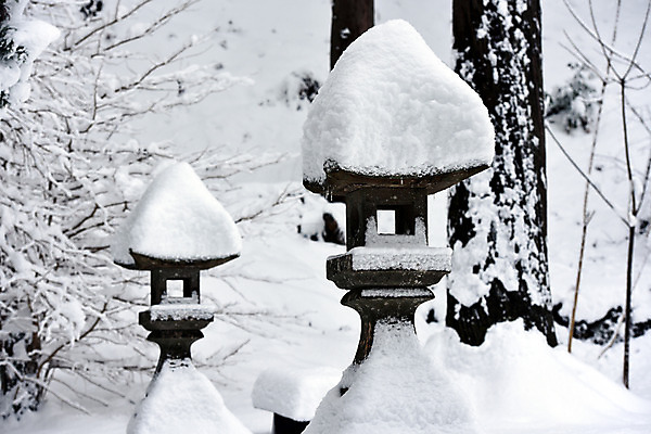 포토 JPG 주간 나무 식물 해외풍경 계절 아시아 종교 전통문화 겨울 일본문화 종교시설 풍경 사람없음 야외 일본 눈 사찰 일본전통 석등 겨울풍경 국내포토 자연요소 동양문화 전통 해외 나라 문화 외국문화 종교건축 날씨 시설 파일형식
